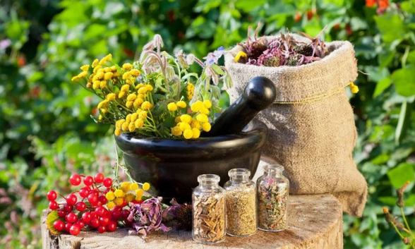 Kräuter von Helminthen