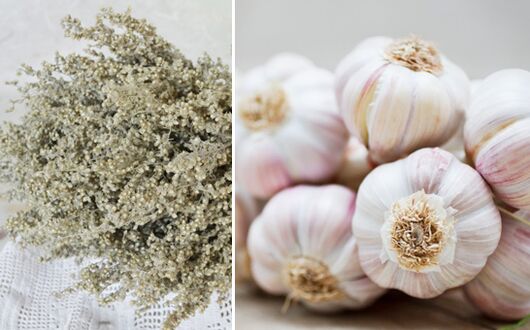 Wermut und Knoblauch reinigen den Körper von Parasiten